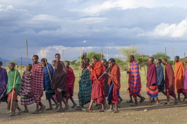 Masai Kabilesi erkekleri dans ediyor ve 16.12 geleneksel kıyafetleriyle şarkı söylüyor. 2021 Arusha, Tanzanya