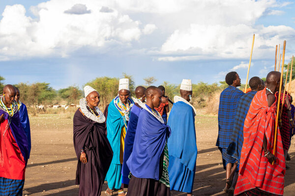 Men and women of Masai Tribe dancing and singing outdoors in traditional attire 16.12. 2021 Arusha, Tanzania