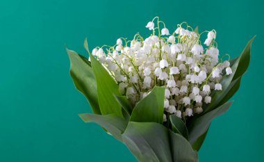 Yeşil arka planda bir buket orman zambağı. Kutlama kartı