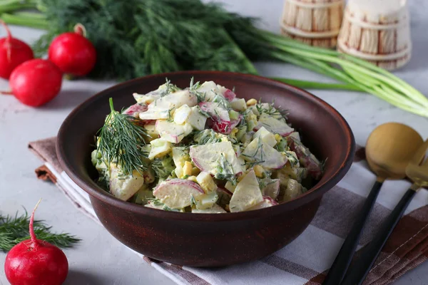 Salată Ridichi Ceapă Verde Ouă Mărar Condimente Smântână Într Castron — Fotografie, imagine de stoc