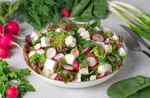 Salată Proaspătă Ridichi Spanac Mărar Ceapă Verde Brânză Feta Fundal — Fotografie, imagine de stoc