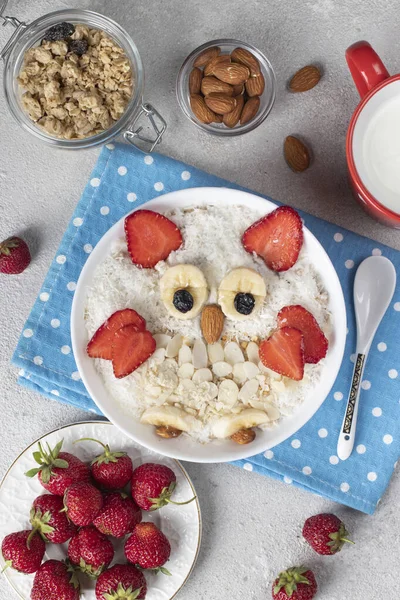 Cheerful Breakfast Kids Owl Shaped Oatmeal Strawberry Banana Nuts Coconut — Fotografie, imagine de stoc