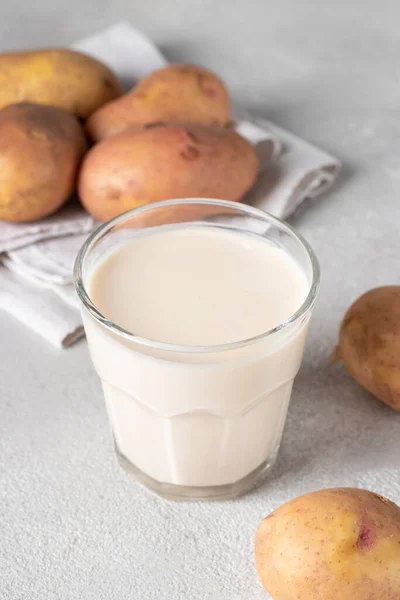 Vegan Potato Milk Glass Gray Background Plant Based Milk Replacer — Zdjęcie stockowe