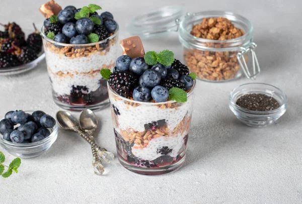 带有蓝莓和黑莓两种杯子 浅灰背景 健康饮食理念 健身菜单的奇奇布丁 — 图库照片