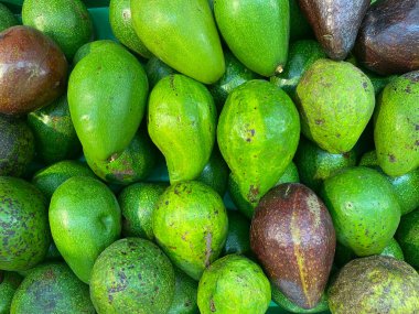 Süpermarket vitrininin rafında bir grup avokado. Meyve sebze alışverişi. Doğa arkaplanı için bir ekran.