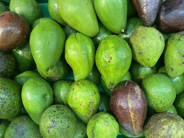 Grupo Abacates Prateleira Exposição Supermercado Compras Mercearia Frutas Display Para — Fotografia de Stock