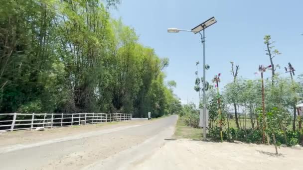 Ponorogo Indonesia 2021 Scene Rural Street Swaying Bamboo Tree Has — Stock Video
