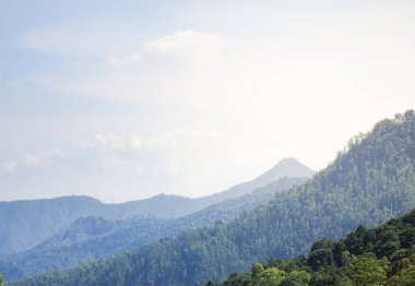 Dağ bölgesindeki yeşil tepenin manzarası. Güzel mavi gökyüzü ve güneşli bir gün. 