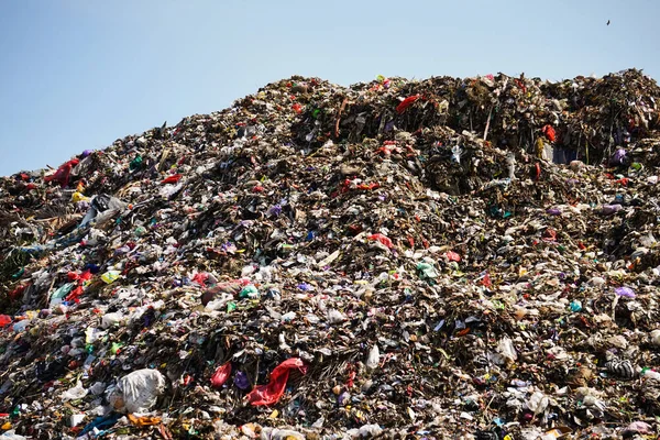 Ponorogo Indonesia 2021 Pile Trash Landfill Collection Point Garbage Collected Stock Photo