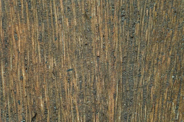 Het Abstracte Oppervlak Van Het Modderige Mosselhout Voor Een Achtergrondpatroon — Stockfoto