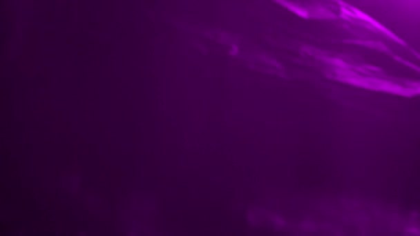 Махаючи Крихкою Пластиковою Текстурою Фіолетовою Неоновою Світловою Текстурою Реалістичні Пластикові — стокове відео