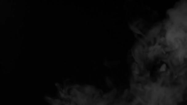 Rauch Overlay Material Für Kreative Videopräsentation Rauchbewegungseffekt Auf Schwarzem Hintergrund — Stockvideo
