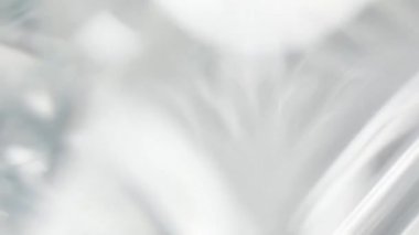 Rüzgarda sallanan yaprak animasyonu. Doğanın gerçekçi örtüşme etkisi. Doğal gölge ve ışık yavaş hareket ediyor. Bitkinin sinematik siluet hareketi.