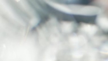 Rüzgarda sallanan yaprak animasyonu. Doğanın gerçekçi örtüşme etkisi. Doğal gölge ve ışık yavaş hareket ediyor. Bitkinin sinematik siluet hareketi.