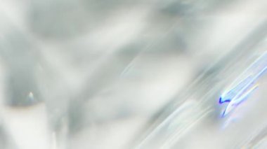 Rüzgarda sallanan yaprak animasyonu. Doğanın gerçekçi örtüşme etkisi. Doğal gölge ve ışık yavaş hareket ediyor. Bitkinin sinematik siluet hareketi.