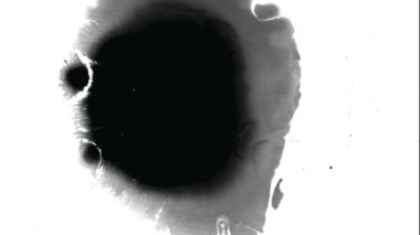 Mürekkep sıçrama hareketi. Soyut hareketlerde mürekkep düşer. Su kağıdında mürekkep lekesi hareket ediyor. Mürekkep sıvısıyla sıçrayan kirli yüzey.