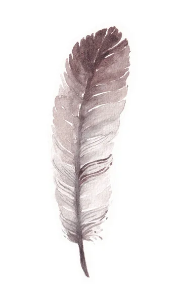 Ptačí Peří Jsou Malována Akvarely Retro Styl Malování Izolovaném Bílém — Stock fotografie