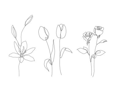 Lily, lale ve gül çiçeği çizimleri tek bir çizgi sanat tarzında. Simge, duvar resimleri, posterler, dergi, kartpostal vs. için en iyi kullanılan vektör aralıksız çizim.