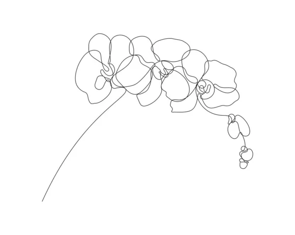 Ілюстрація Орхідеї Квітки Одному Стилі Лінії Мистецтва Безперервний Малюнок Векторі — стокове фото