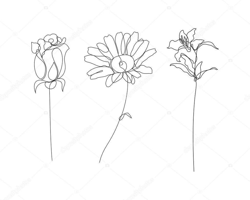 rose, daisy, and lily flowers illustration in one line art style. continuous drawing in vector best used for icon, wall art prints, posters, magazine, postcard, etc.