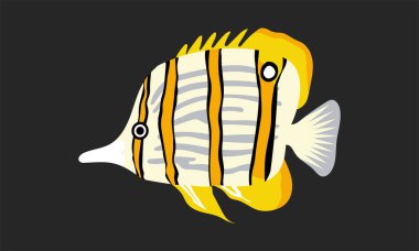 chaeotodontidae ya da kelebek balığı. Mercan balığı illüstrasyonu koleksiyonu. Deniz yaşamının el çizimi. El çizimi vektör animasyonu. Deniz yaşamının sevimli ve güzel balıkları.