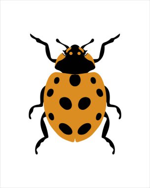 On bir tane benekli uğur böceği. Böceklerin düz vektör çizimi. Böcekler ve bahçe konsepti renkli temalı animasyonlar. beyaz arkaplanda izole edilmiş doğanın karikatür çizimi.