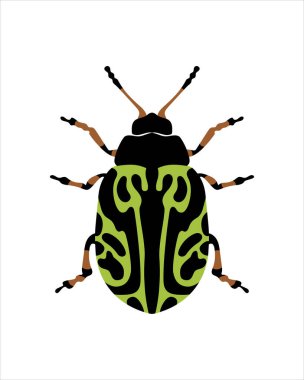 Globemallow yaprağı böceği. Böceklerin düz vektör çizimi. Böcekler ve bahçe konsepti renkli temalı animasyonlar. beyaz arkaplanda izole edilmiş doğanın karikatür çizimi.