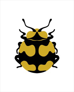 Benekli kehribar uğur böceği. Böceklerin düz vektör çizimi. Böcekler ve bahçe konsepti renkli temalı animasyonlar. beyaz arkaplanda izole edilmiş doğanın karikatür çizimi.