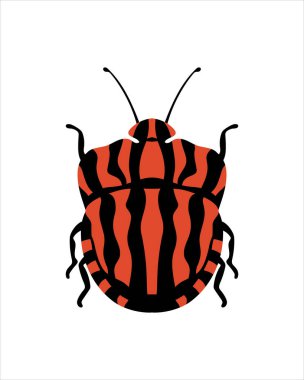 Gramozom italikum. Böceklerin düz vektör çizimi. Böcekler ve bahçe konsepti renkli temalı animasyonlar. beyaz arkaplanda izole edilmiş doğanın karikatür çizimi.