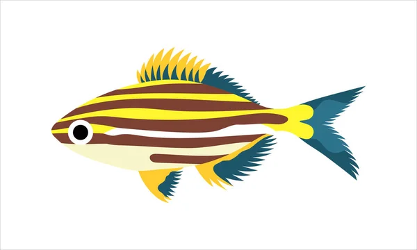Microcanthinae Nebo Fotbalová Ryba Kolekční Sada Korálových Ryb Ilustrace Ruční — Stock fotografie