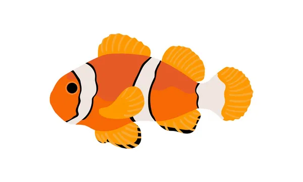橙色小丑鱼 收集一套珊瑚鱼图解 海洋生物下的手绘 手绘矢量动画 海洋生物中可爱美丽的鱼类 — 图库照片