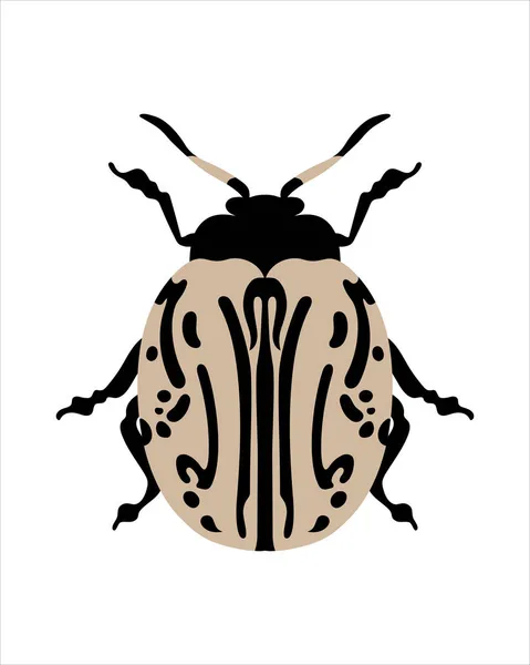 Colorado Bettle Patata Vector Plano Ilustración Errores Insectos Jardín Concepto —  Fotos de Stock