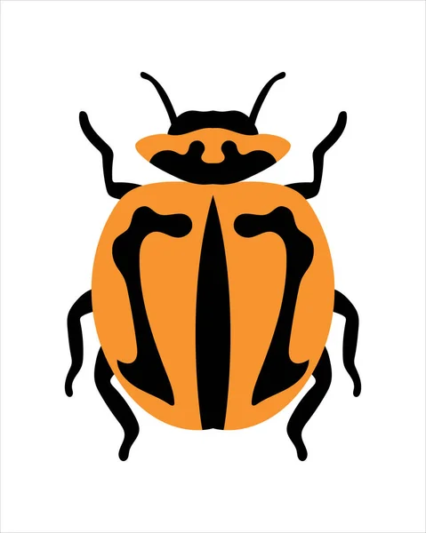 Beruška Pruhy Ploché Vektorové Znázornění Chyb Hmyz Zahradní Koncept Animované — Stock fotografie