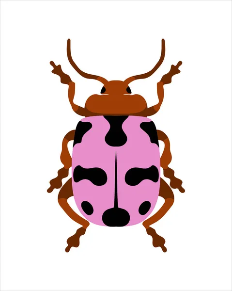 Rosa Blattspinat Flache Vektorillustration Von Bugs Insekten Und Gartenkonzept Buntem — Stockfoto