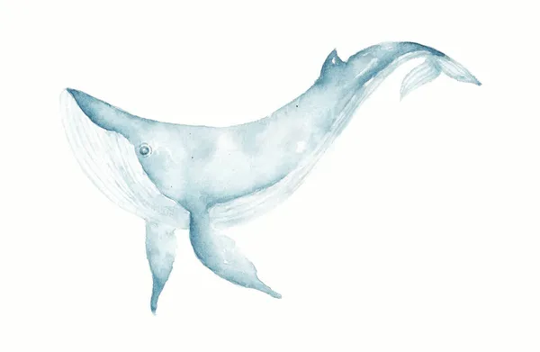 Abstrakcyjne Malowanie Wielorybów Akwarela Malarstwo Tekstury Szczegółach Dekoracji Pokoju Nadruk — Zdjęcie stockowe