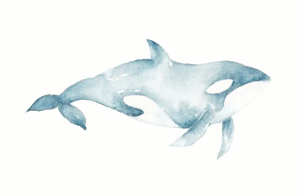 鯨魚の抽象画です 部屋の装飾 デザイン要素などのための詳細の水彩画のテクスチャ — ストック写真