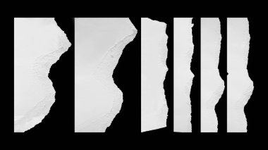 yırtılmış beyaz kağıt parçaları. yırtılmış kağıt kenar koleksiyonu siyah arkaplanda izole edildi. Yaratıcı tasarım için hasar kağıdı kavramı.