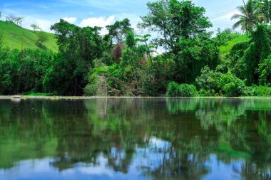İskoçya 'nın güzel manzarası. Dağların arasında bir göl. yeşil bir arka plan olarak taze, neşeli, açık, açık ve sakin bir çayırda.