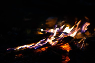 Ateş gece ağaçların üzerinde yanıyor..