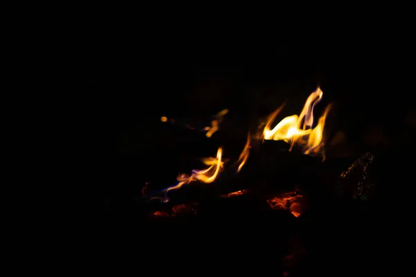 夜の森で燃える炎は — ストック写真