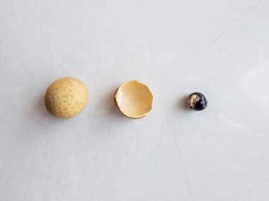 Longan meyve düzlüğü kompozisyonu