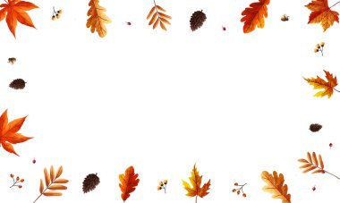 Yazdırma dizaynı için sonbahar arkaplan kompozisyonu. Çam ve kuru yapraklı Şükran Günü çerçeveniz kutlu olsun.