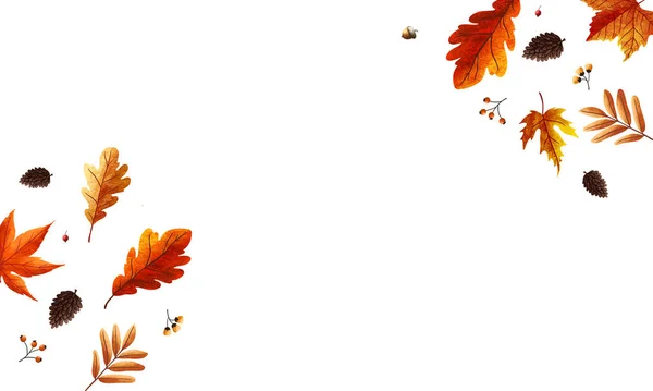 Jesienna Kompozycja Tła Projektowania Druku Szczęśliwego Święta Dziękczynienia Ramki Sosny — Zdjęcie stockowe