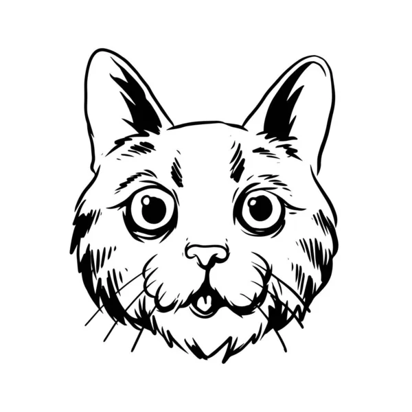 Vrčící Kočičí Ilustrace Ručně Kreslená Ilustrace Divoké Zvířecí Hlavy Kresba — Stockový vektor