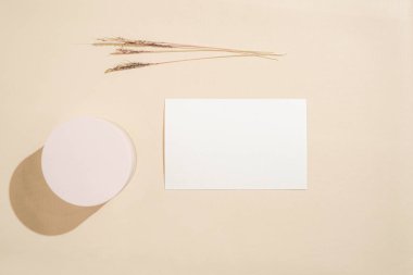 Boş alanların basit bir yerleşimi. Klasik dekorasyon konsepti olan bir fotokopi alanı arkaplanı için bir düzenleme. minimalist düz yatış modeli.