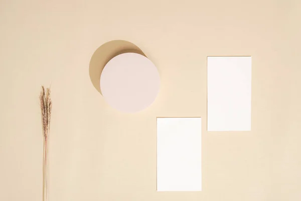 Leere Papierbögen Und Abgerundete Objekte Eine Layout Komposition Für Einen — Stockfoto
