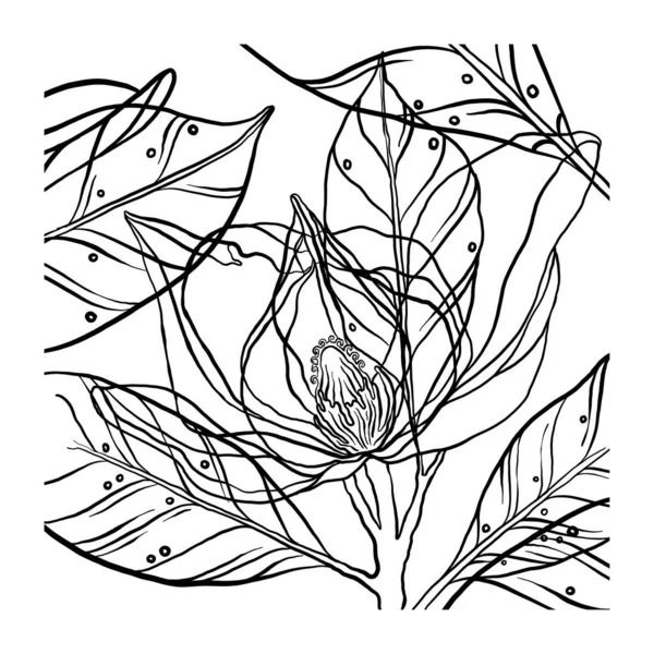 Line Art Floral Pattern Hand Drawn Nature Texture White Foliage — Vettoriale Stock