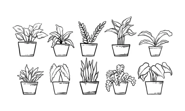 家庭用手描きイラスト 鉢植えの植物コレクションセットのベクトルラインアート 白い背景に隔離された花の植物 — ストックベクタ