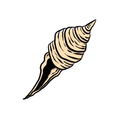 colorful seashell illustration. animated nautical animal in vector graphic for creative design. aquatic object animation isolated on white background.