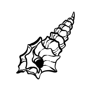 uncolored seashell illustration collection. animated nautical animal in vector graphic for creative design. aquatic object animation isolated on white background.